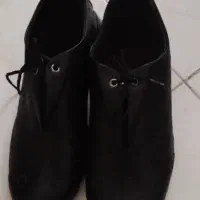 کفش سایز ۳۹