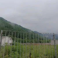 زمین ویلایی/250متری/مسکونی/کانرود
