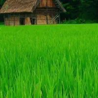 زمین خالی بر کمربندی