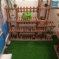 استبند