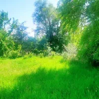 باغ ۵۴۸ متری حریم شهری