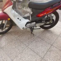 آمیکو عتیقست
