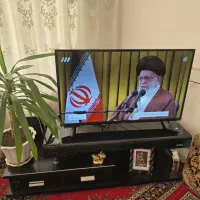 ال ای دی  TCL