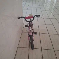 دوچرخه ۱۶ صورتی