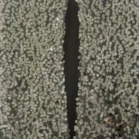 لباس مجلسی خارجی برند چنل نو نو