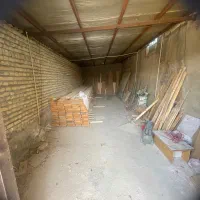 فروش چوب روسی