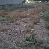 فروش-چندقطعه-زمین-مسکونی-درچهارطاقی