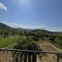 اجاره روزانه کلبه جنگلی