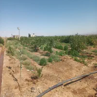 استخدام کارگر برای باغ دائم با حقوق خوب و جای خواب