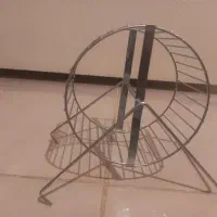 چرخ فلک بازی همستر