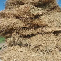 یونجه|لوازم جانبی حیوانات|هیر, |دیوار