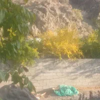 خانه-فروشی-بهجرد