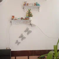 شلف|کتابخانه، شلف، قفسههای دیواری|کرمان, |دیوار