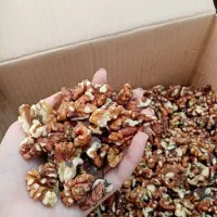 مغز گردو شاهی قهوه ای