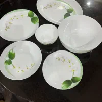 سرویس ارکوپال اصل فرانسه