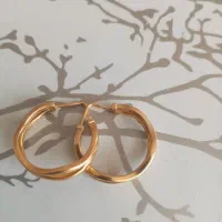 گوشواره سالم ونو