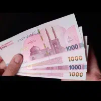 ضمانت فوری
