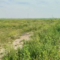 زمین زراعی باغی