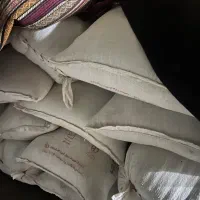 جو و گندم