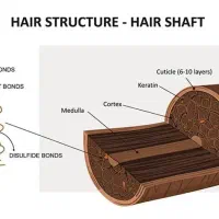 دستیار اسکراب اسکالپ