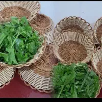 سبدبافی|صنایع دستی و سایر لوازم تزئینی|دزفول, |دیوار