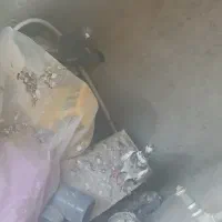 کبوتر