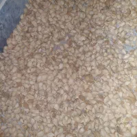 بادام پوست کاغذی