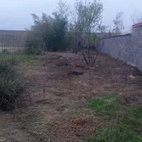 زمین روستایی پسویشه 5کیلومتری رشت یخسازی