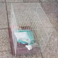 قفس پرنده ۲عدد
