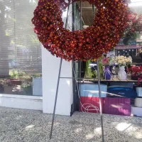 پایه گل طبیعی فروش فوری
