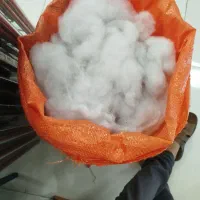 لایکو درجه یک