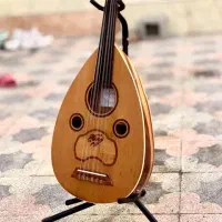 عود نجم الدین نساج فلت