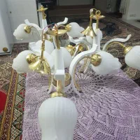 لوستر