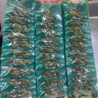 هل سبز بستی