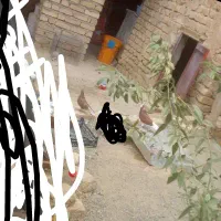 کفترقهوه ای