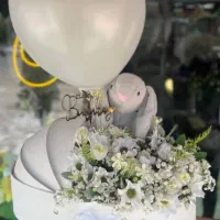 گلفروشی پیونی