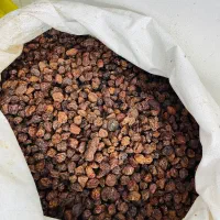 کشمش ضمانتی