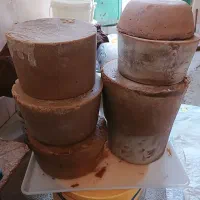 قارا گاوی
