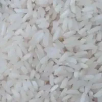 برنج چمپا