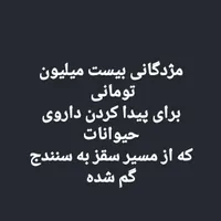 مژدگانی برای پیدا کردن داروی خارجی حیوانات گم شده