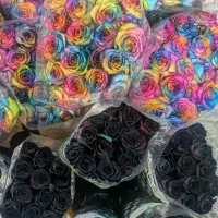 فروش عمده گل رز ۶۰ تا ۹۰ سانت لیسین