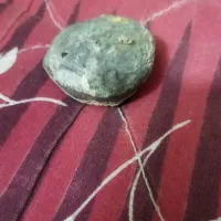 سنگ فسیل