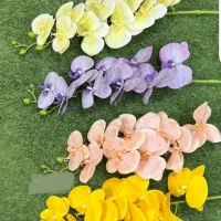 گلهای ارکیده لمسی وارداتی