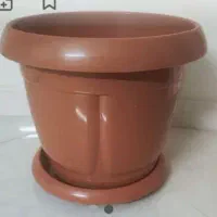 تعدادی گلدان