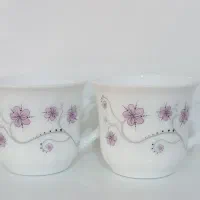 فنجان ارکوپال