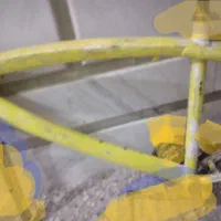 تنه دوچرخه