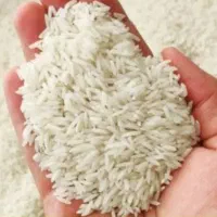 برنج درجه یک صدری آستانه اشرفیه