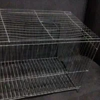 قفس