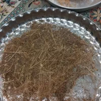 کاردرمنزل