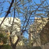 ویلایی-340-بنا-در-دو-طبقه-فلاحی